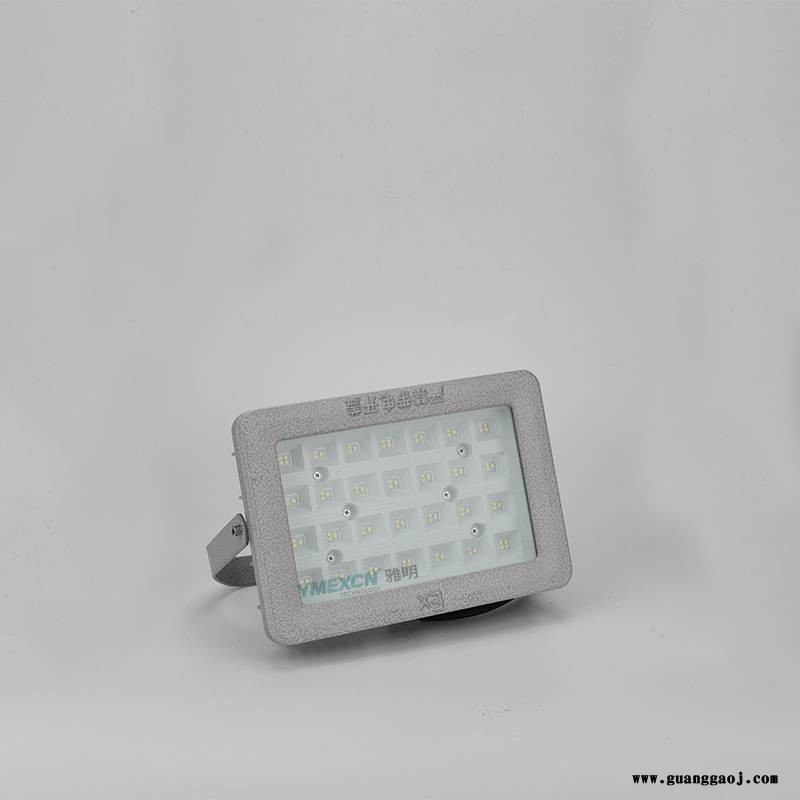加油站仓库化工厂油漆房车间LED防爆投光灯100W150W200W吸顶壁式吊杆灯图2