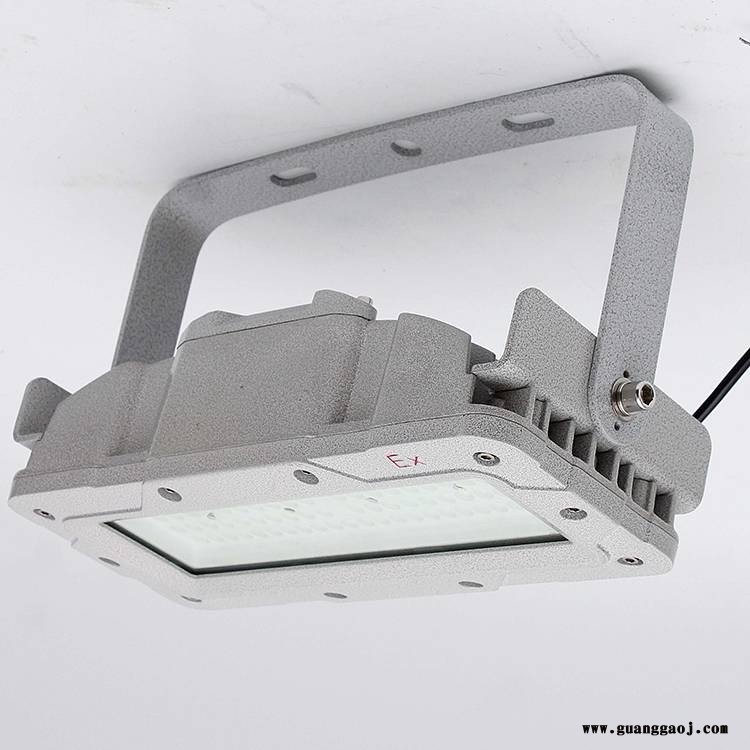 U型固定支架式50W-LED防爆平台灯-吊杆式50W防爆应急灯-护栏式50W防爆投光灯图2