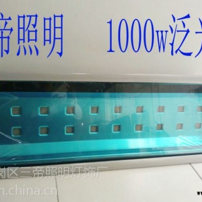 1000w大功率投光灯有吗