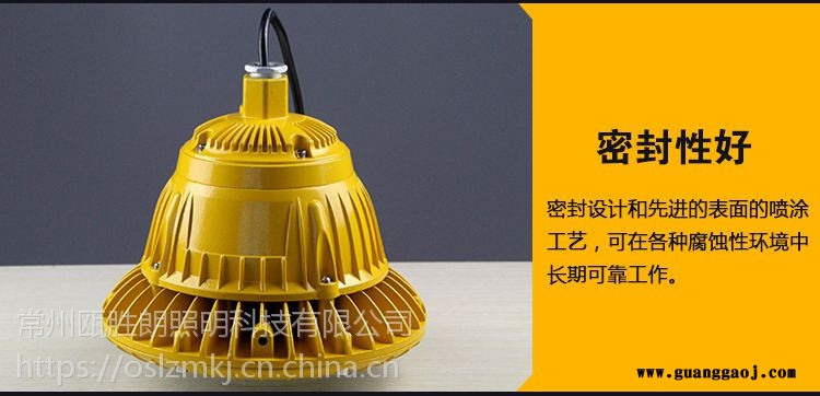 免维护LED防爆灯HRD23060W带U型支架壁式投光灯防爆防腐灯WF2图2