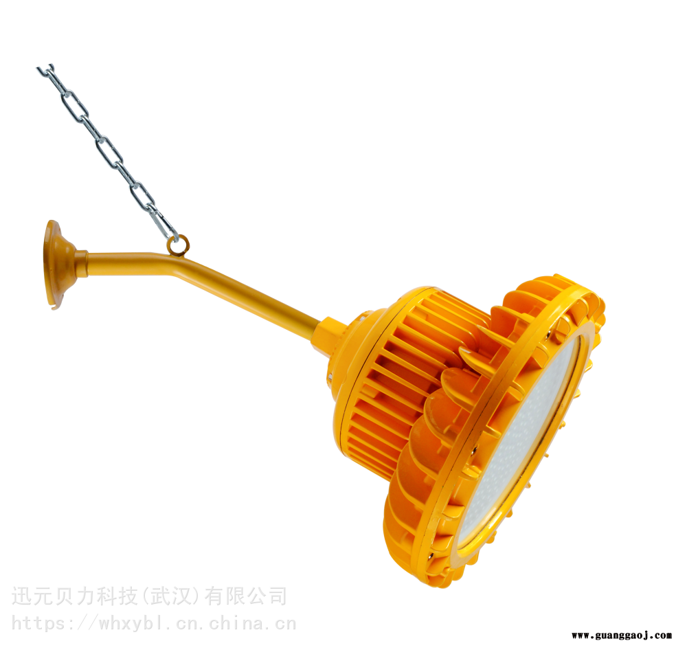 BAD303-100W港口码头防爆投光灯BAD303图3