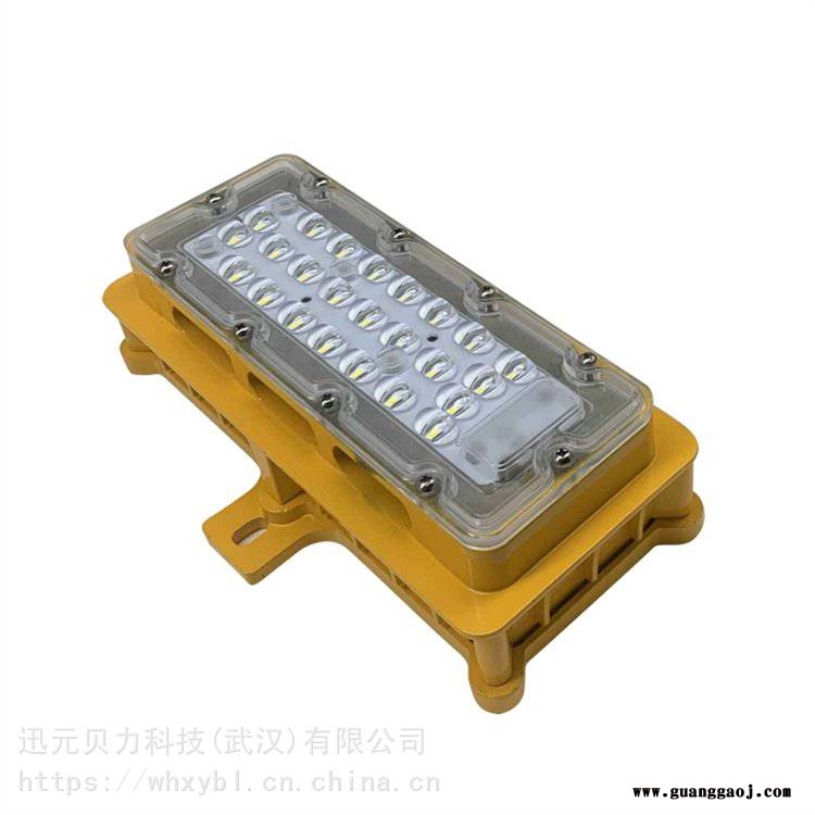 BAD303-100W港口码头防爆投光灯BAD303图2
