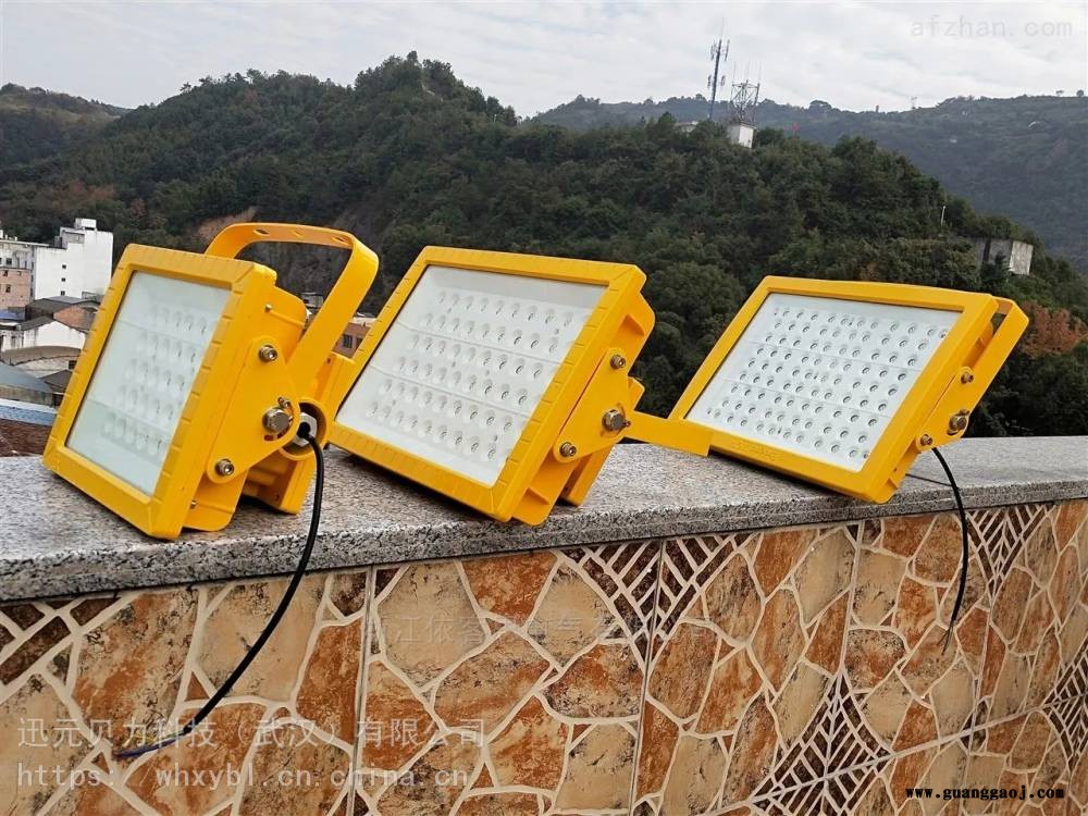 BLD201-80W吸壁式LED防爆投光灯-BLD201-150W支架式化工厂防爆灯图3