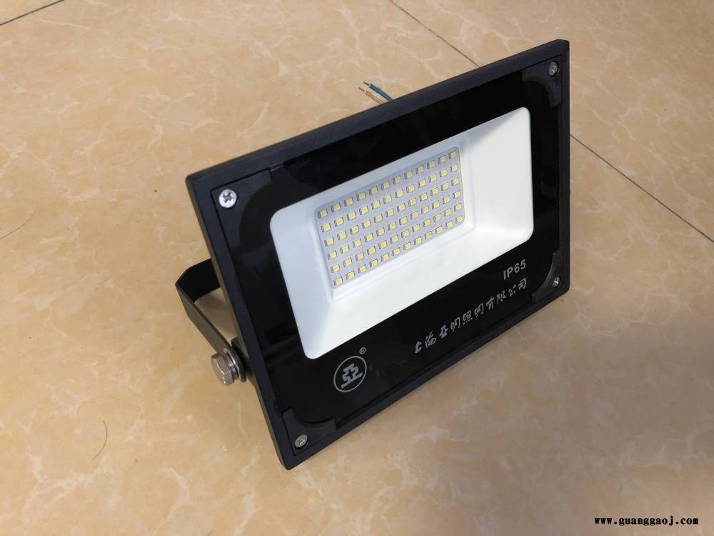 ZY609上海世纪亚明小功率LED投光灯30W图3