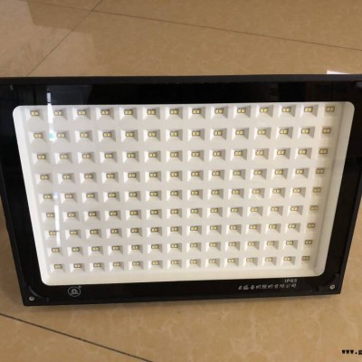 ZY609上海世纪亚明小功率LED投光灯30W