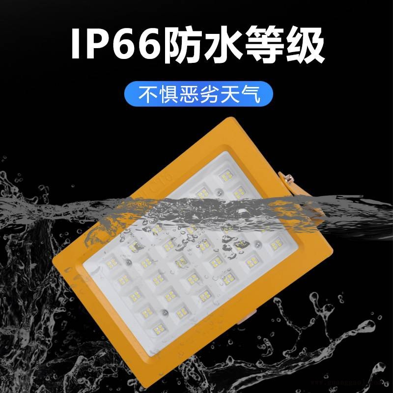 LED免维护防爆隔爆投光灯100W120W加气站泛光灯80W图2