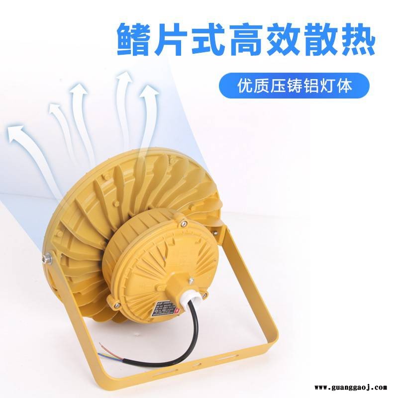 LED免维护防爆隔爆投光灯100W120W加气站泛光灯80W图3