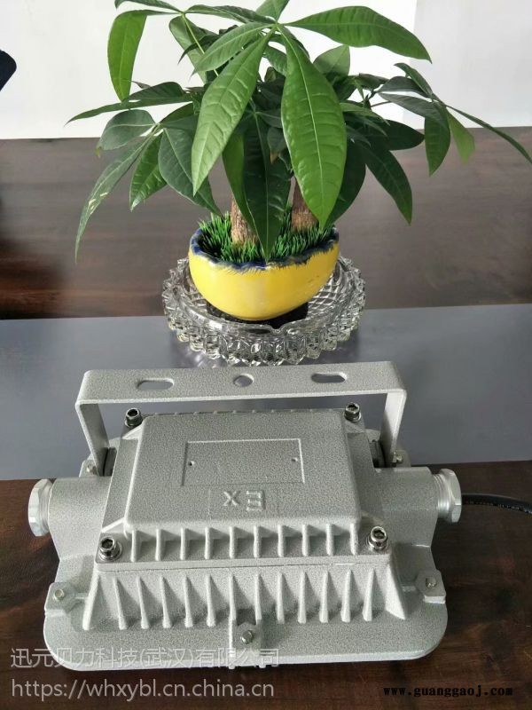 LED防爆投光灯 30W 50W 100W图2