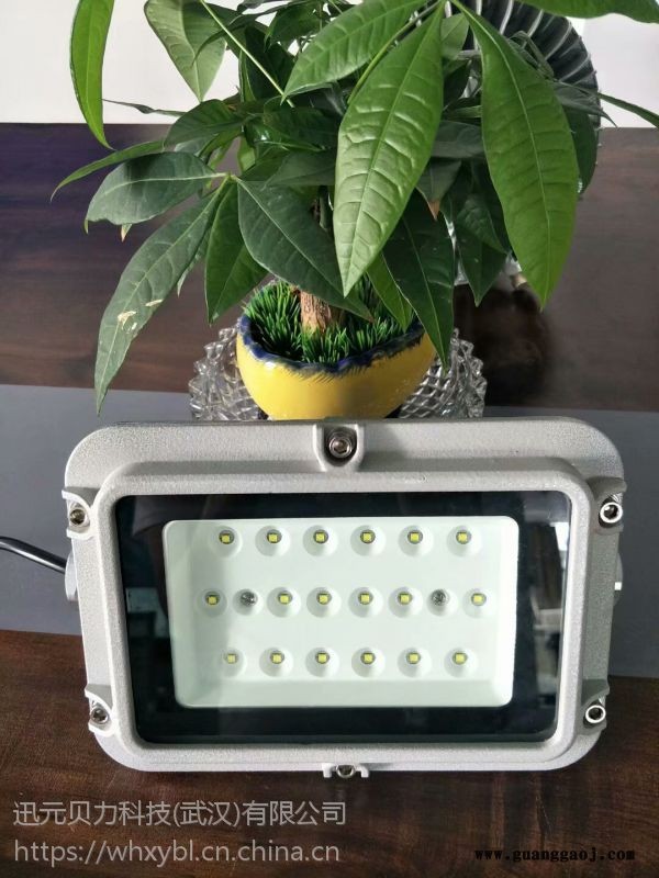 LED防爆投光灯 30W 50W 100W图1