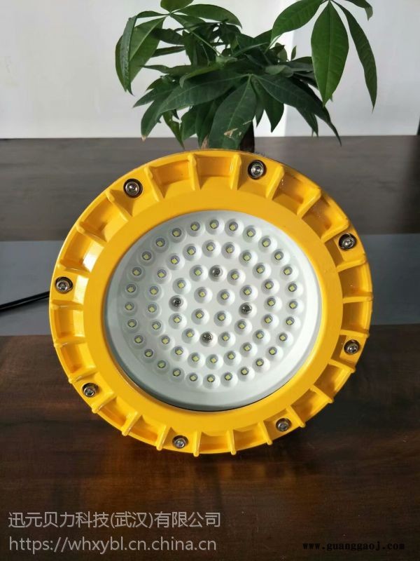 50W100W武汉LED防爆投光灯BLD201图2