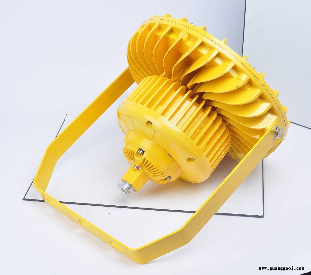 LED防爆投光灯室内外50W300W化工烤漆厂加油站灯方形防爆灯图3