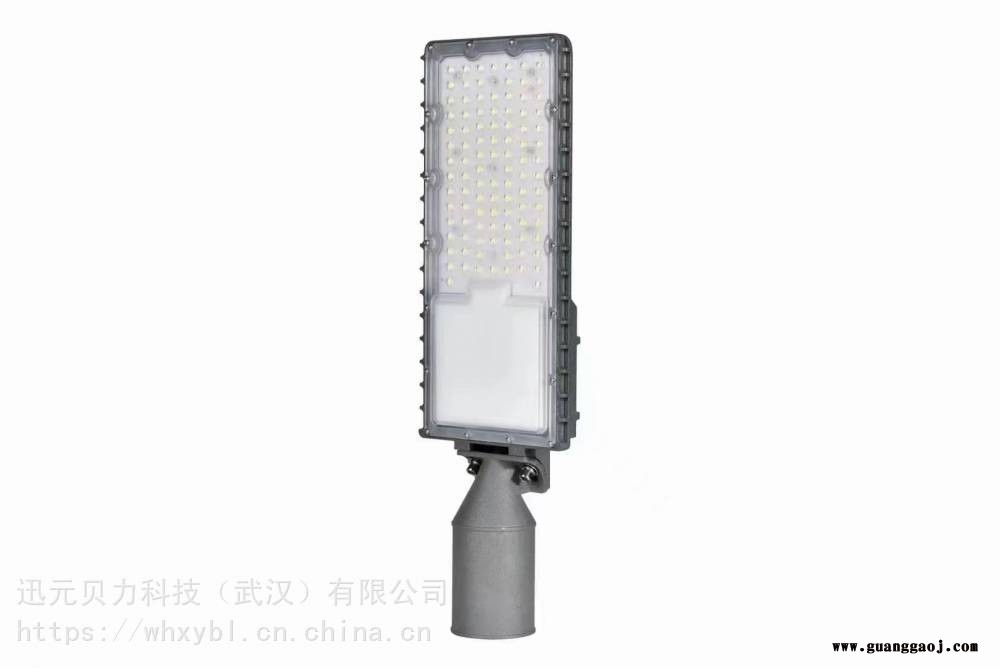 贝力BLG513-80W户外庭院灯新农村家用照明大功率投光灯图3