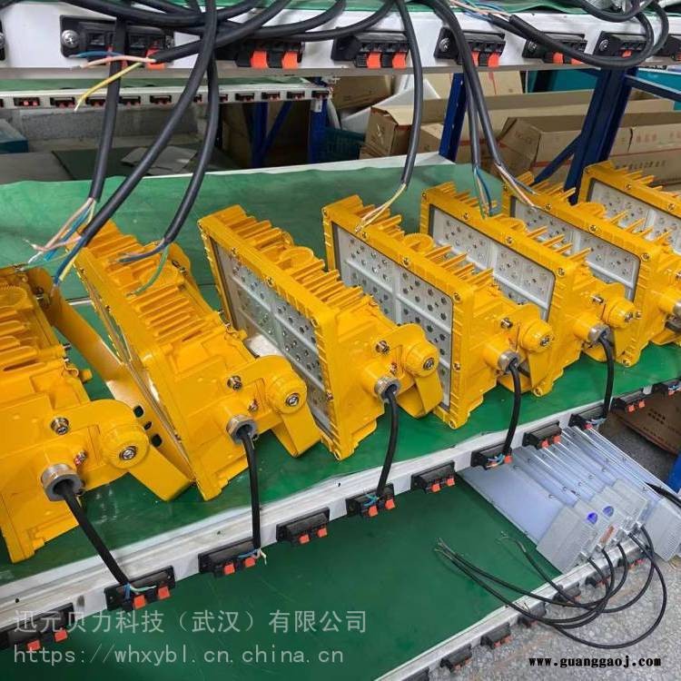 饲料仓库BLED9101防爆l灯加油站液化气站防爆投光灯200W图2