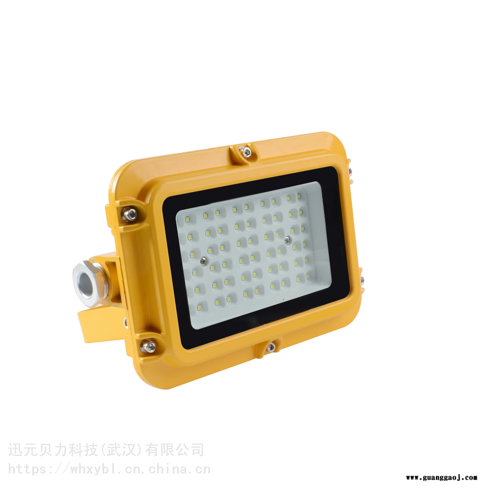 SZSW8135-40W支架式焦化厂防爆投光灯SZSW8135图2