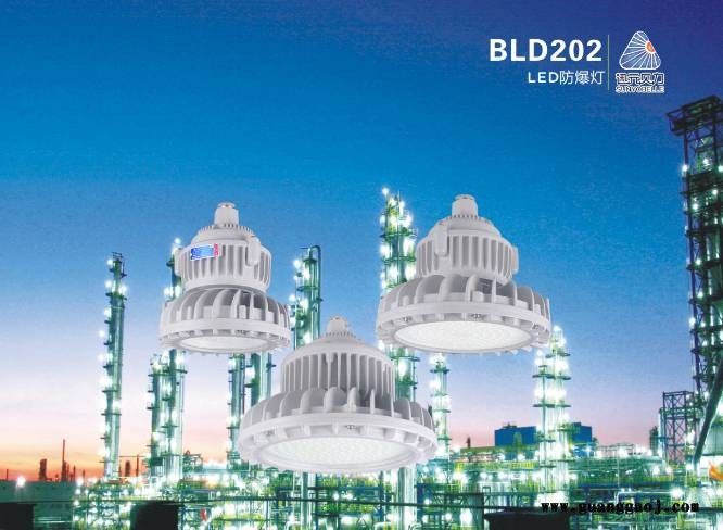 贝力80WLED防爆投光灯支架式80W吸顶吸式LED防爆照明节能灯图1