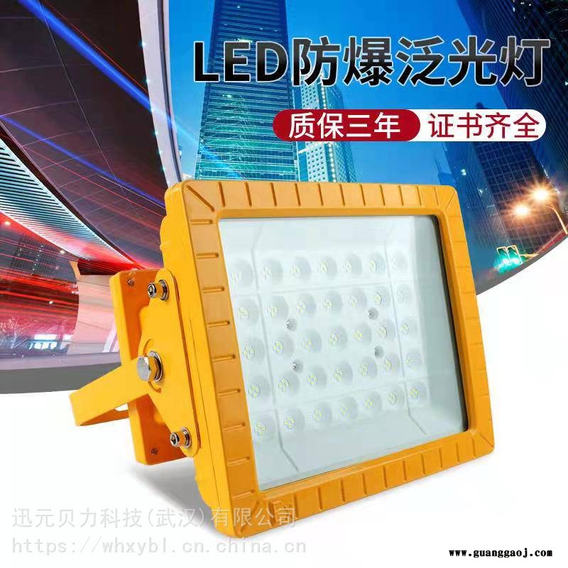 SW8140-SW8140储存仓库吸顶式防爆投光灯SW8140图2