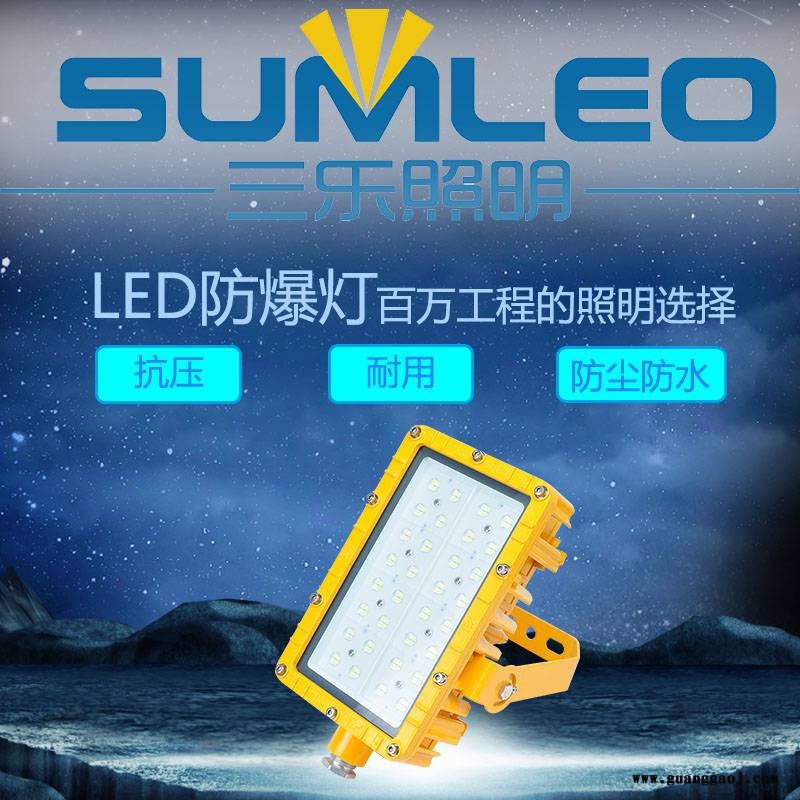 浙江三乐照明 石油化工加油站LED防爆灯 防爆投光灯 非标定制图3