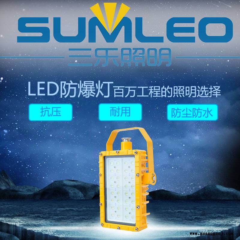 浙江三乐照明 石油化工加油站LED防爆灯 防爆投光灯 非标定制图2