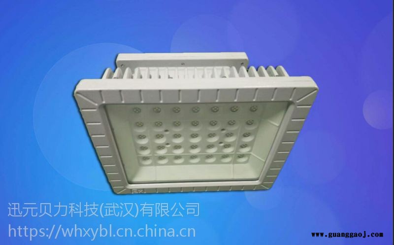 LED 防腐防爆投光灯 30W 50W图3