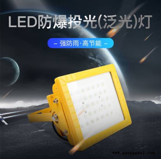 LED 防腐防爆投光灯 30W 50W图2
