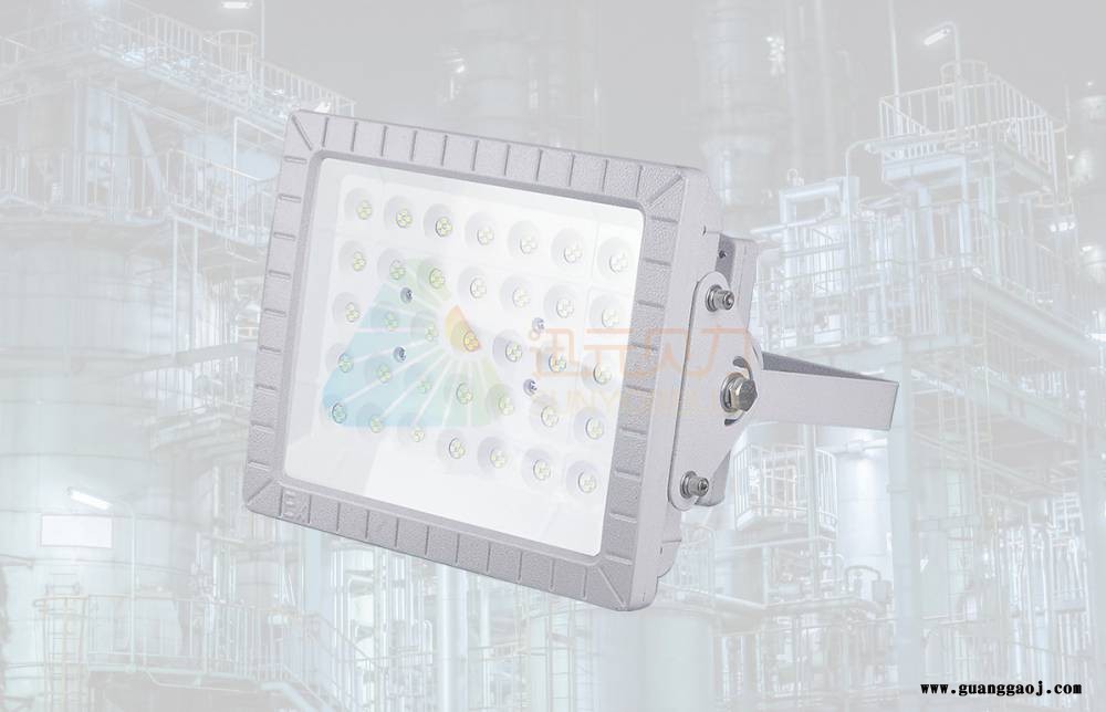 LED 防腐防爆投光灯 30W 50W图1