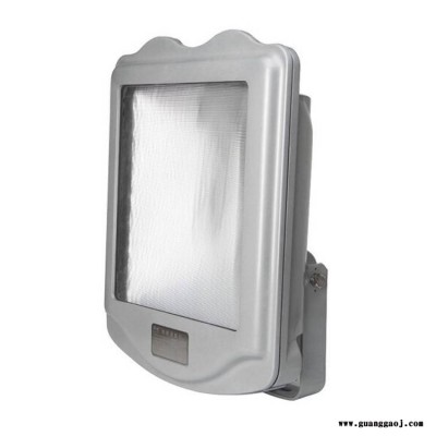 ZY8200变电站外场投光灯250W400W户外防眩路灯三防灯