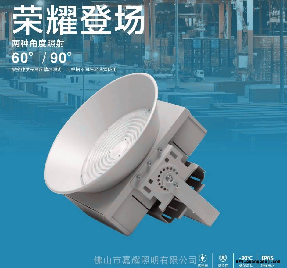 上海亚明ZY701LED塔吊投光灯600W图2