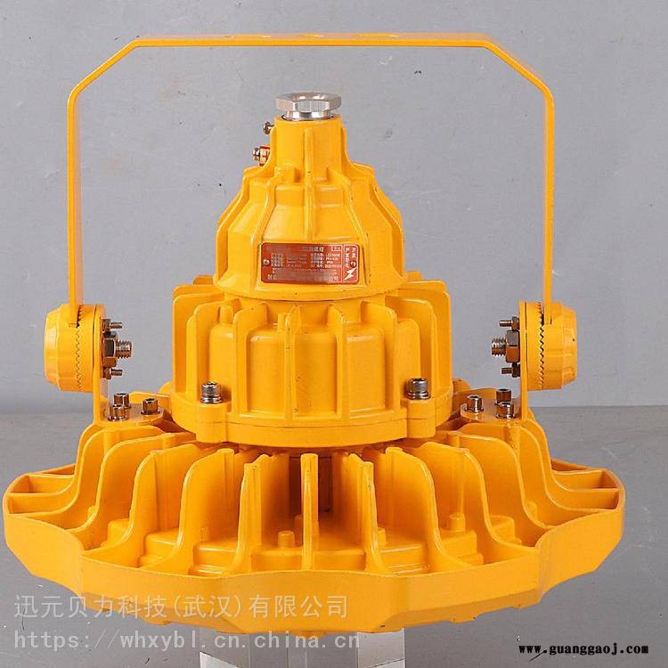 BFC8125-50W泛光灯-BFC8125-100W防爆投光灯-BFC8125-150免维护应急灯图3