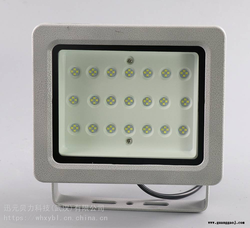 CCD97-100W加油站防爆投光灯图1