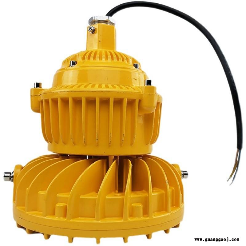 化工防水隔爆型泛投光灯led防爆路灯100W200W图2