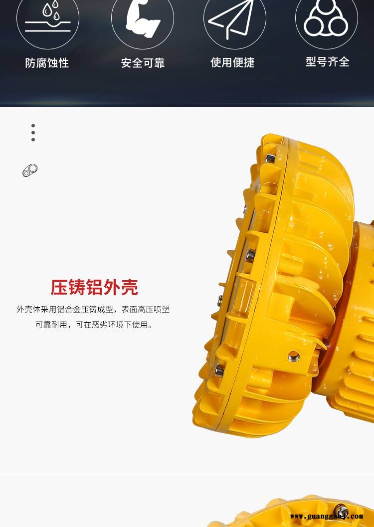 LED防爆灯隔爆型10-200W化工厂车间应急照明投光灯路灯专用定制图3