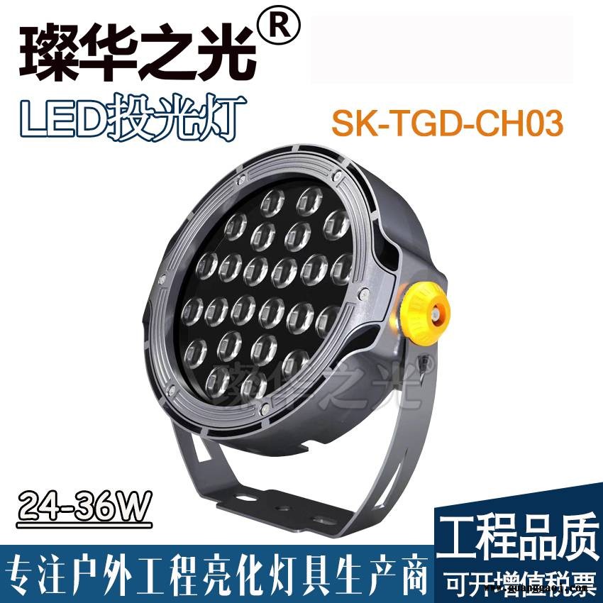 璨华照明SK-TGD-CH03户外防水投光灯36W圆形公园照树灯图2