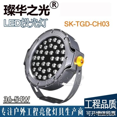 璨华照明SK-TGD-CH03户外防水投光灯36W圆形公园照树灯