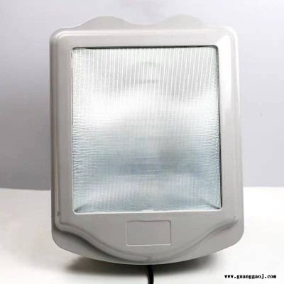 NSC9700海洋王探照灯250W400W隧道照明变电站投光灯