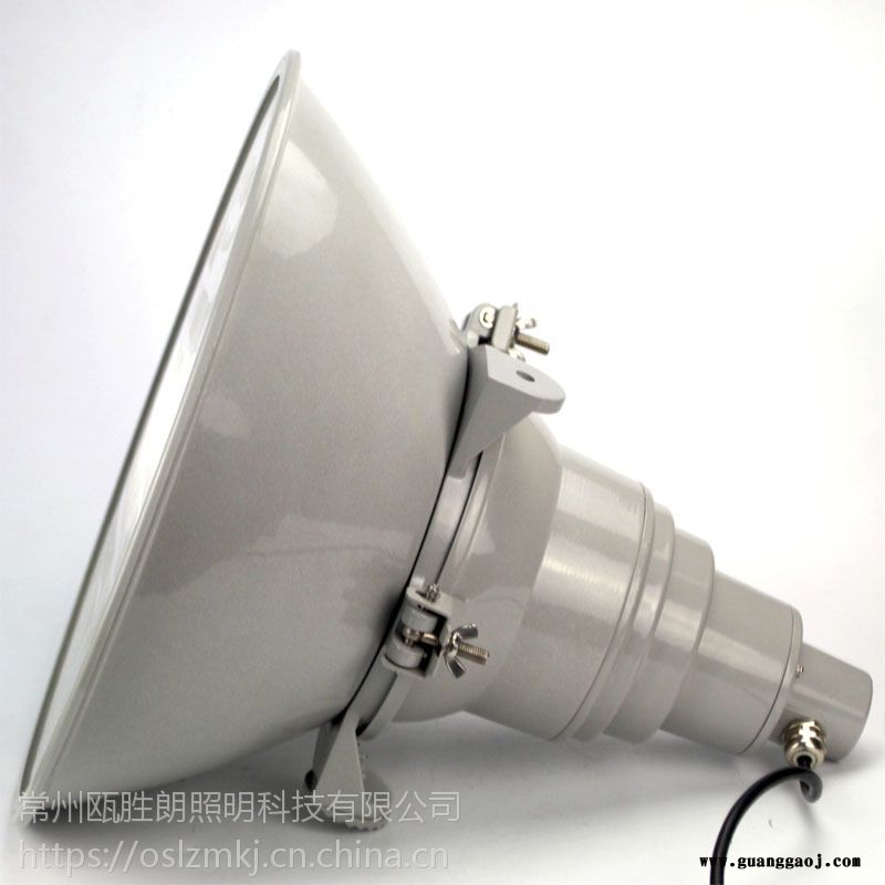 海洋王NTC9200防震型超强投光灯亚明led塔吊灯码头龙门吊三防灯1000W图2