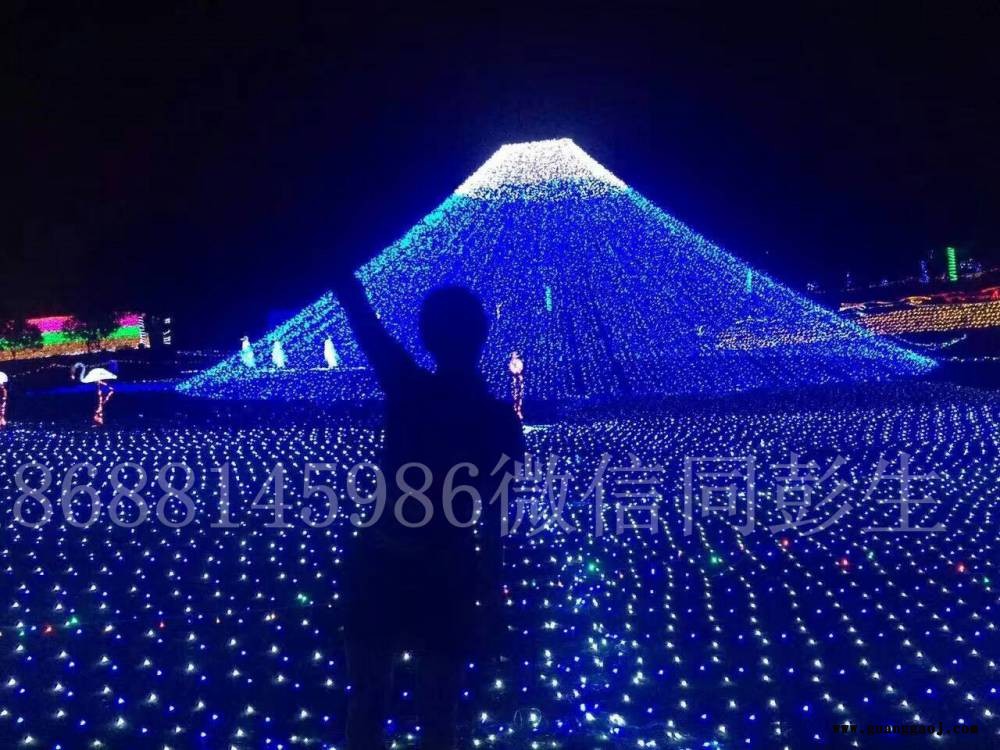工厂直销 跨街灯 LED投光灯 树木园林各种小挂件灯饰图3