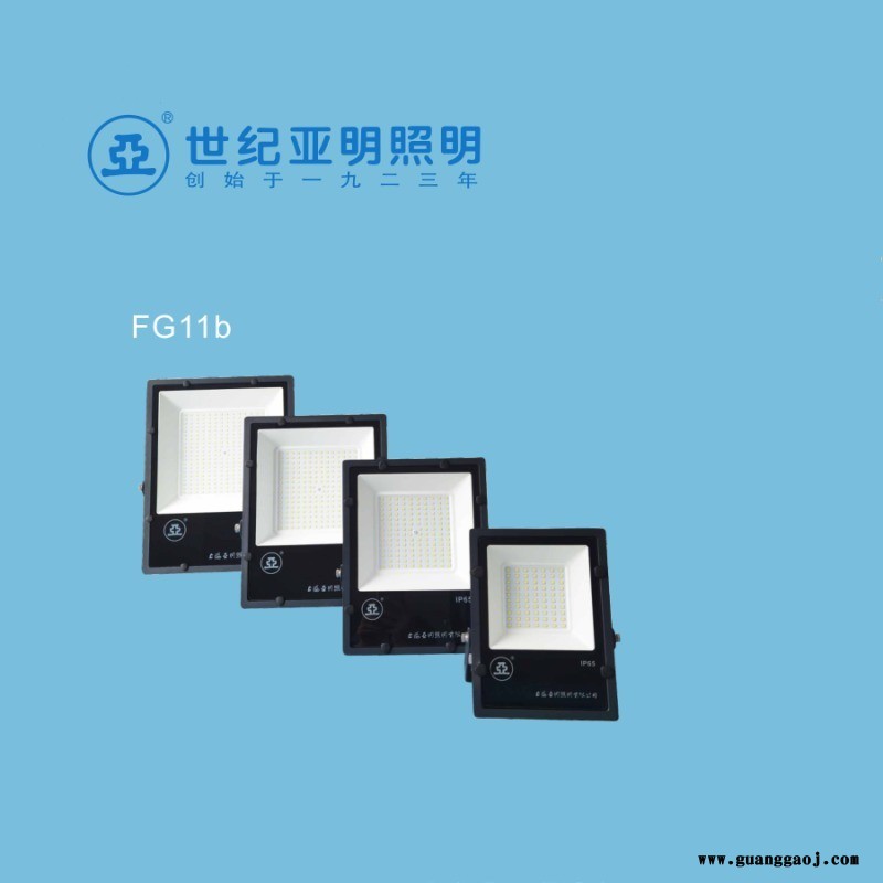 上海亚明FG11b 100WLED泛光灯图3