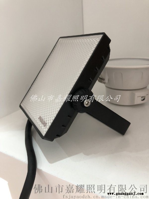 飞利浦BVP131 10W白光/黄光LED投光灯图2