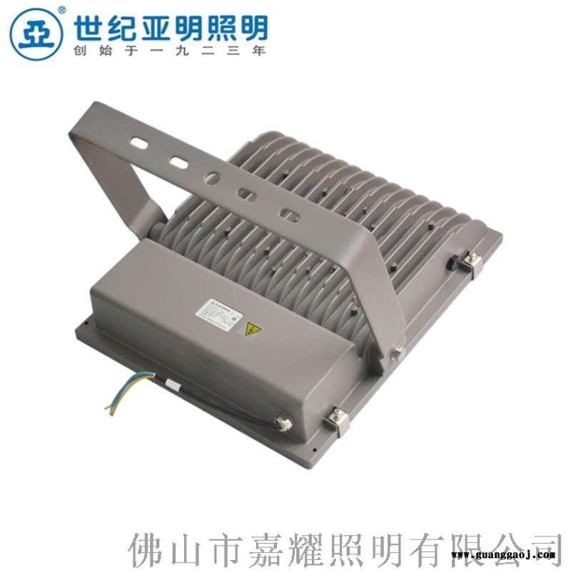 上海亚明FG55b 50WLED泛光灯图2