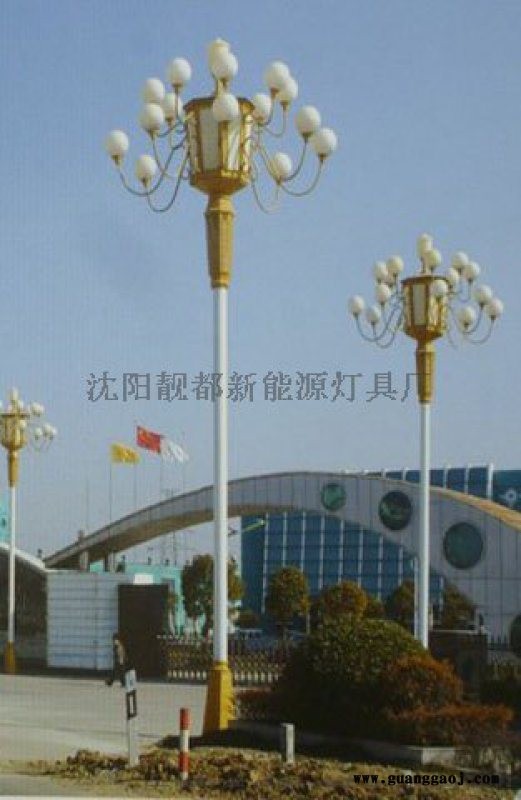2018新款 沈阳景观灯图5