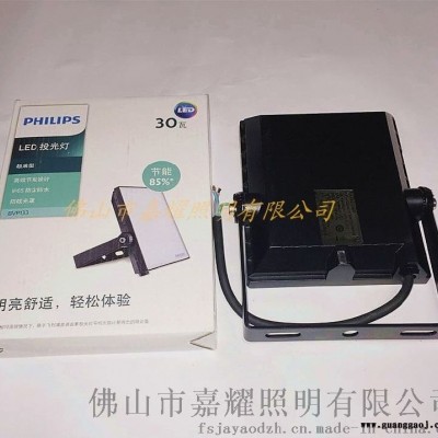 飞利浦BVP133 30WLED投光灯 节能型