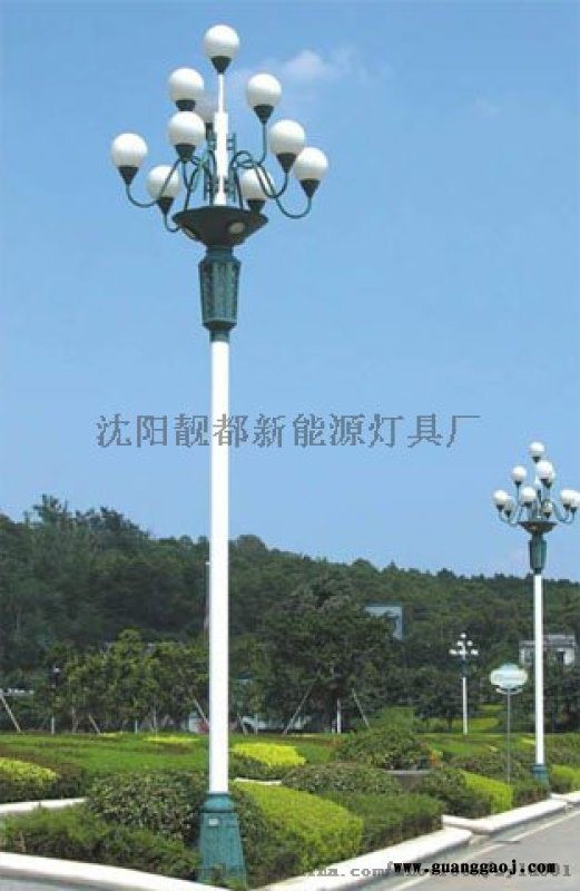 旺季新款 沈阳LED景观灯图3