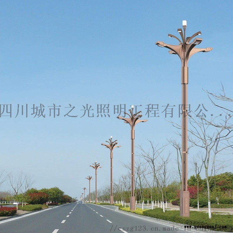 厂家批发LED道路照明景观灯图2