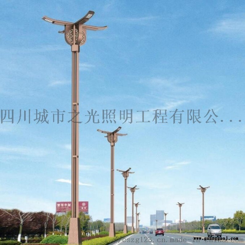厂家批发LED道路照明景观灯图4