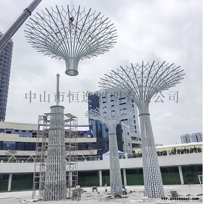户外大型不锈钢广场造型灯 特色景观照明灯图5