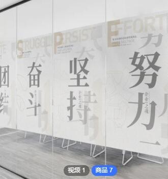 PVC透光不透明浴室办公室厨房简约装饰喷绘磨砂玻璃膜图3
