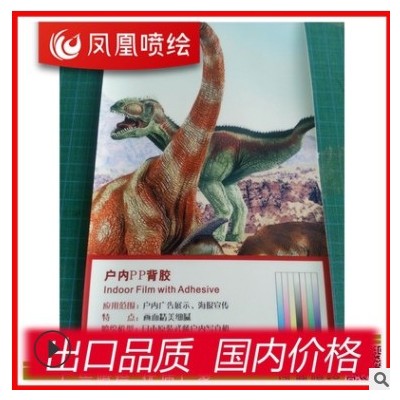 室内背胶 高清可移背胶喷绘 进口设备高清画面制作