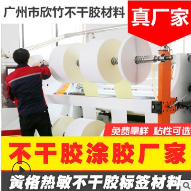 黄格热敏不干胶标签材料 出口用 黄格拉辛三防热敏不干胶材料图3