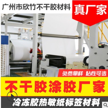 热敏合成纸 冷冻胶热敏合成纸不干胶材料撕不烂 防水防油防摩擦图3