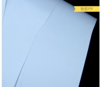 背胶PP 室内写真 广告海报背胶PP布 灯箱布天花吊顶卡布 支持定制图2